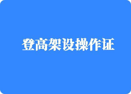 大肉棒插黑逼网福利登高架设操作证